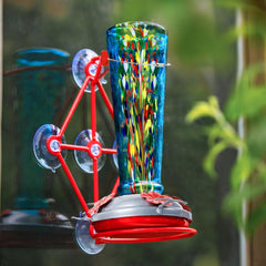 Jola's House close-up of five suction cups showing secure window attachment benefit
