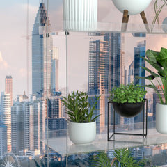 Jolitac shelf installed in sunny window with plants benefiting from abundant light