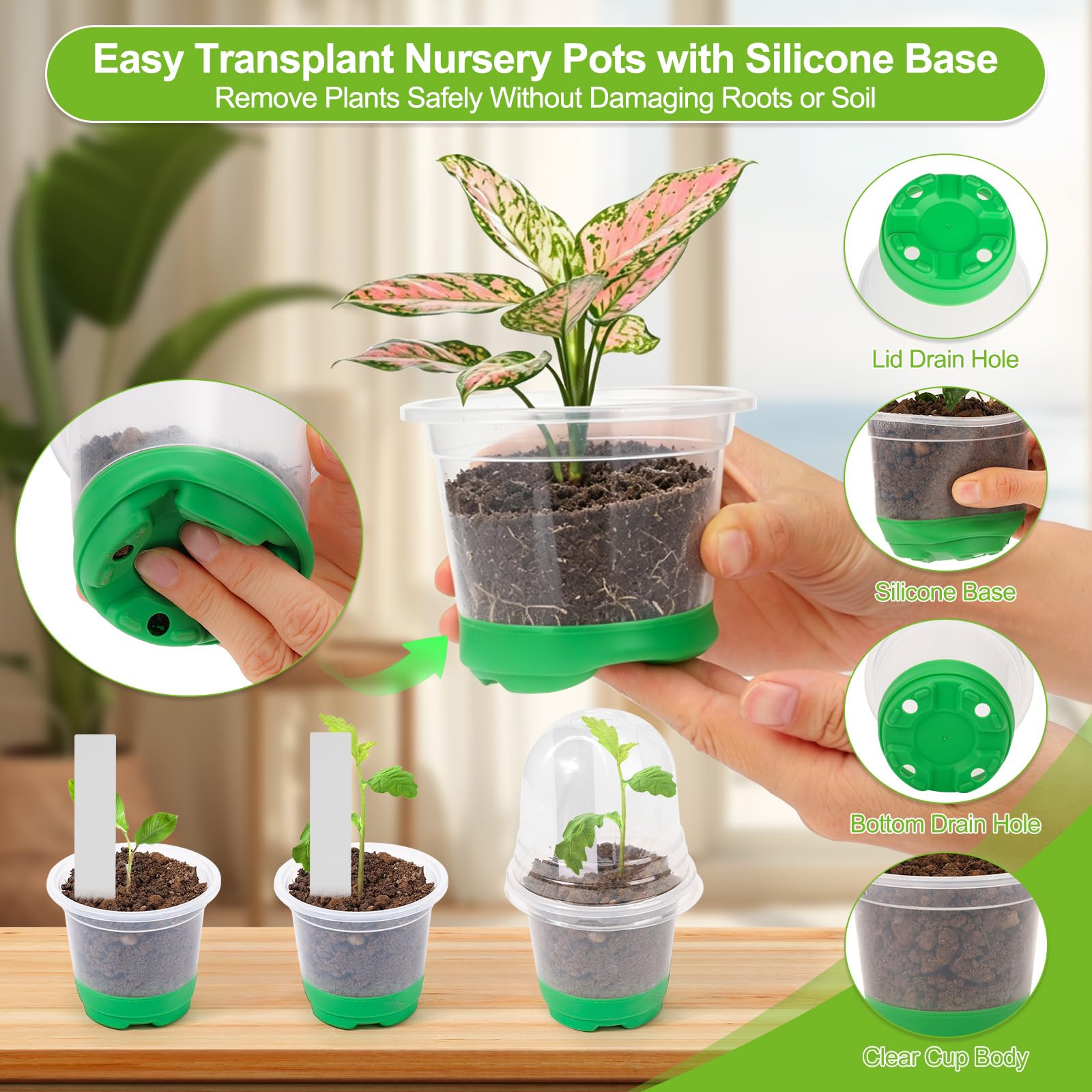 Jollidecor pot underside showing multiple drainage holes for healthy roots