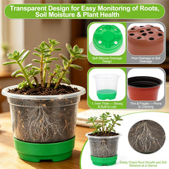 Jollidecor dual-head grow light illuminating trays to promote consistent growth