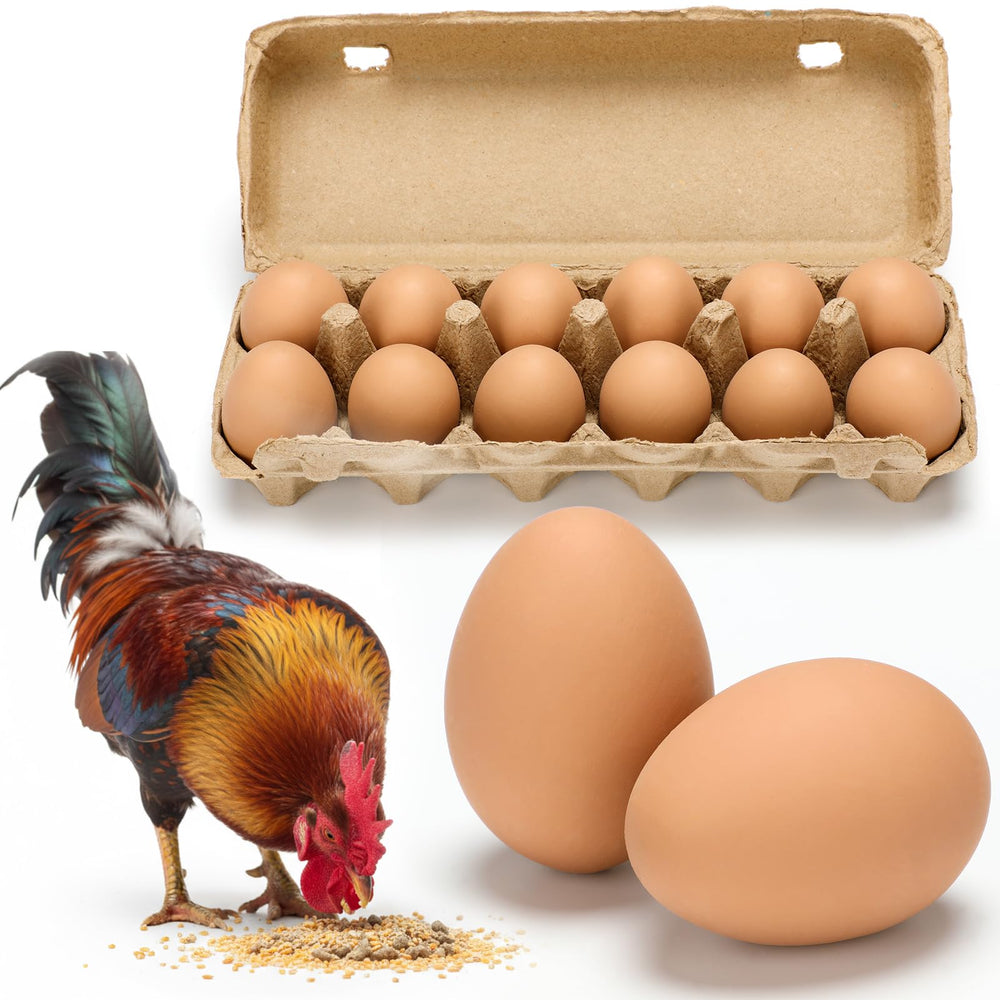 JolliLudo front view of 12 ceramic eggs showing full package benefit