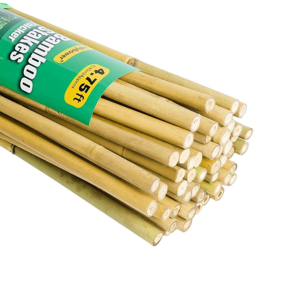 Jollybower front pack of 50 bamboo stakes showing quantity and length benefit