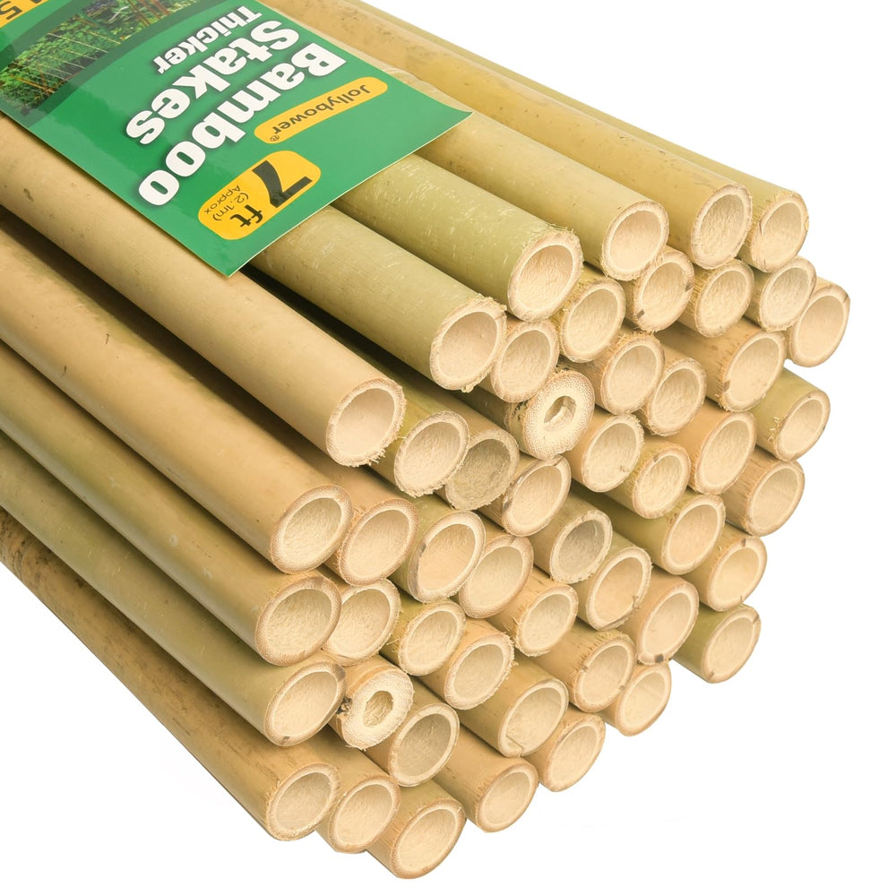 Jollybower front view of packaged 50 bamboo stakes showing quantity and length benefit