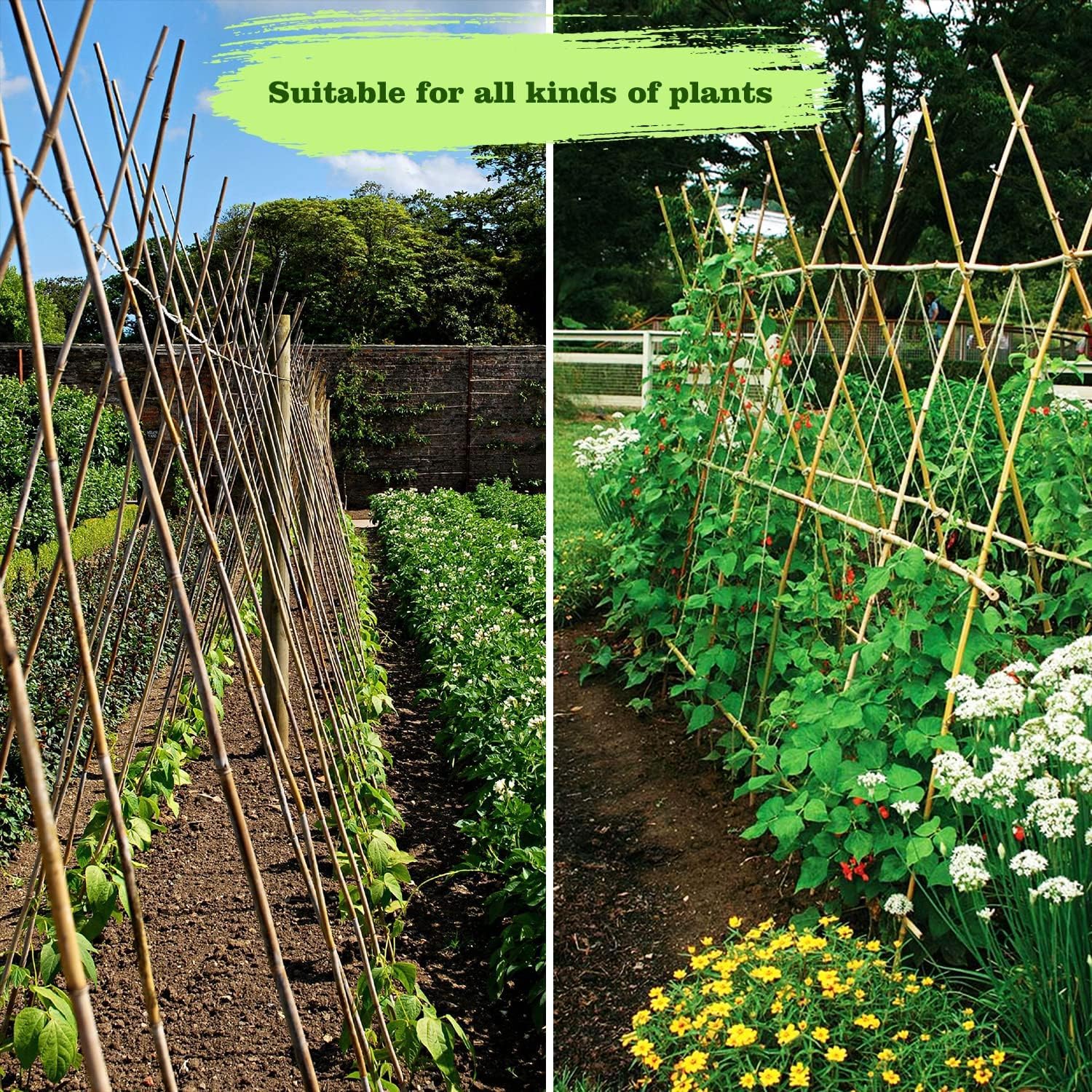 Jollybower stakes used in garden scene showing natural look and plant support