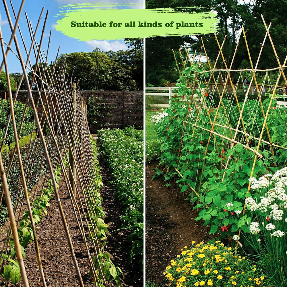 Jollybower stakes used in garden scene showing natural look and plant support