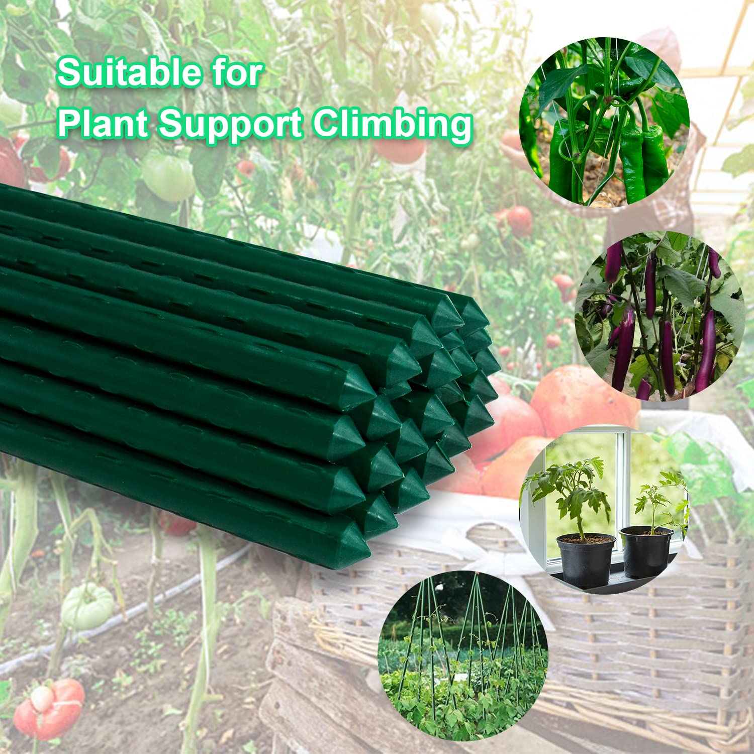 Jollybower stakes assembled into a trellis demonstrating versatile plant training