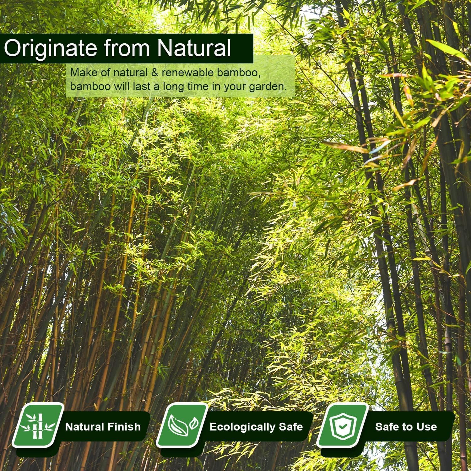 Close-up of Jollybower bamboo stake smooth surface and heat-treated hardness