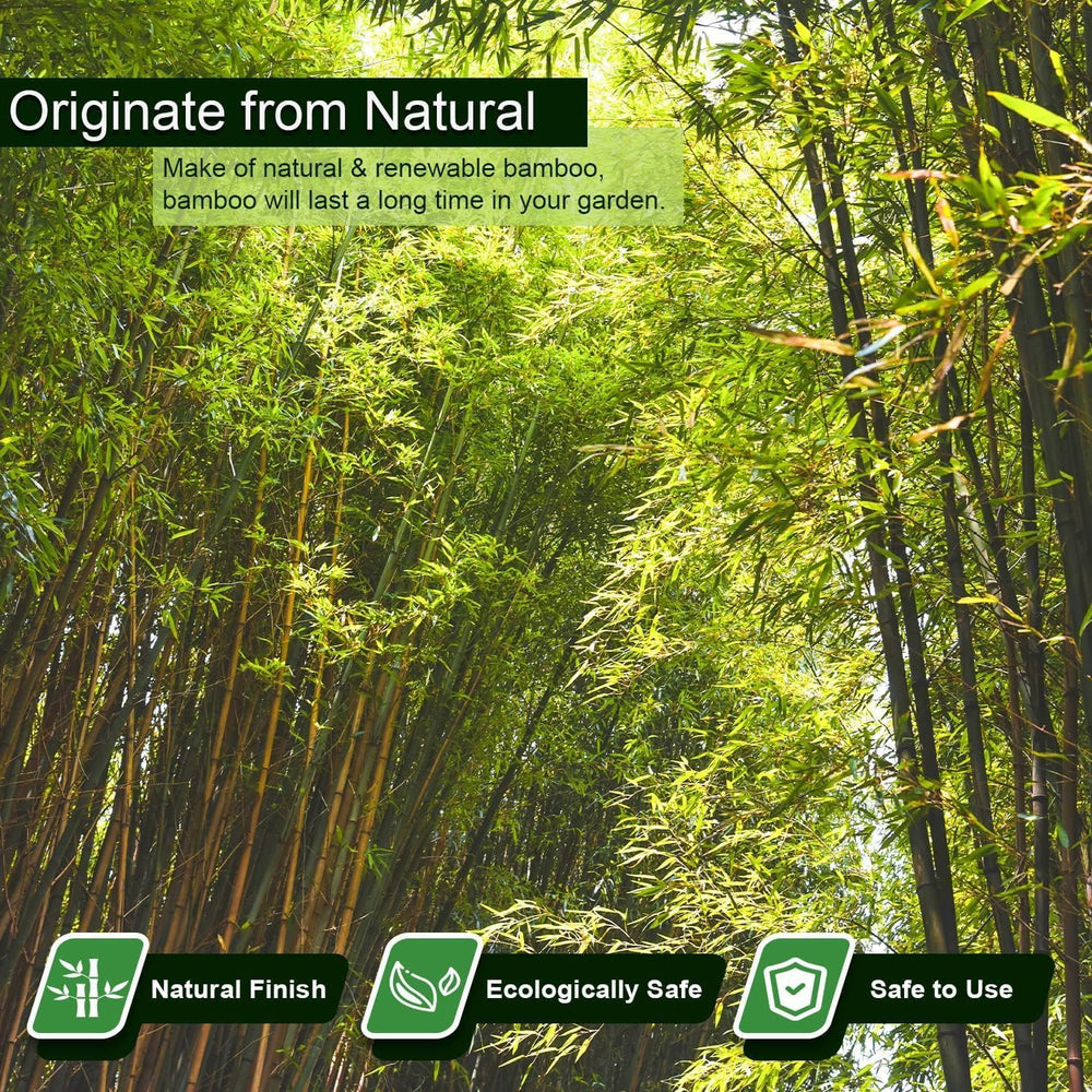 Close-up of Jollybower bamboo stake smooth surface and heat-treated hardness