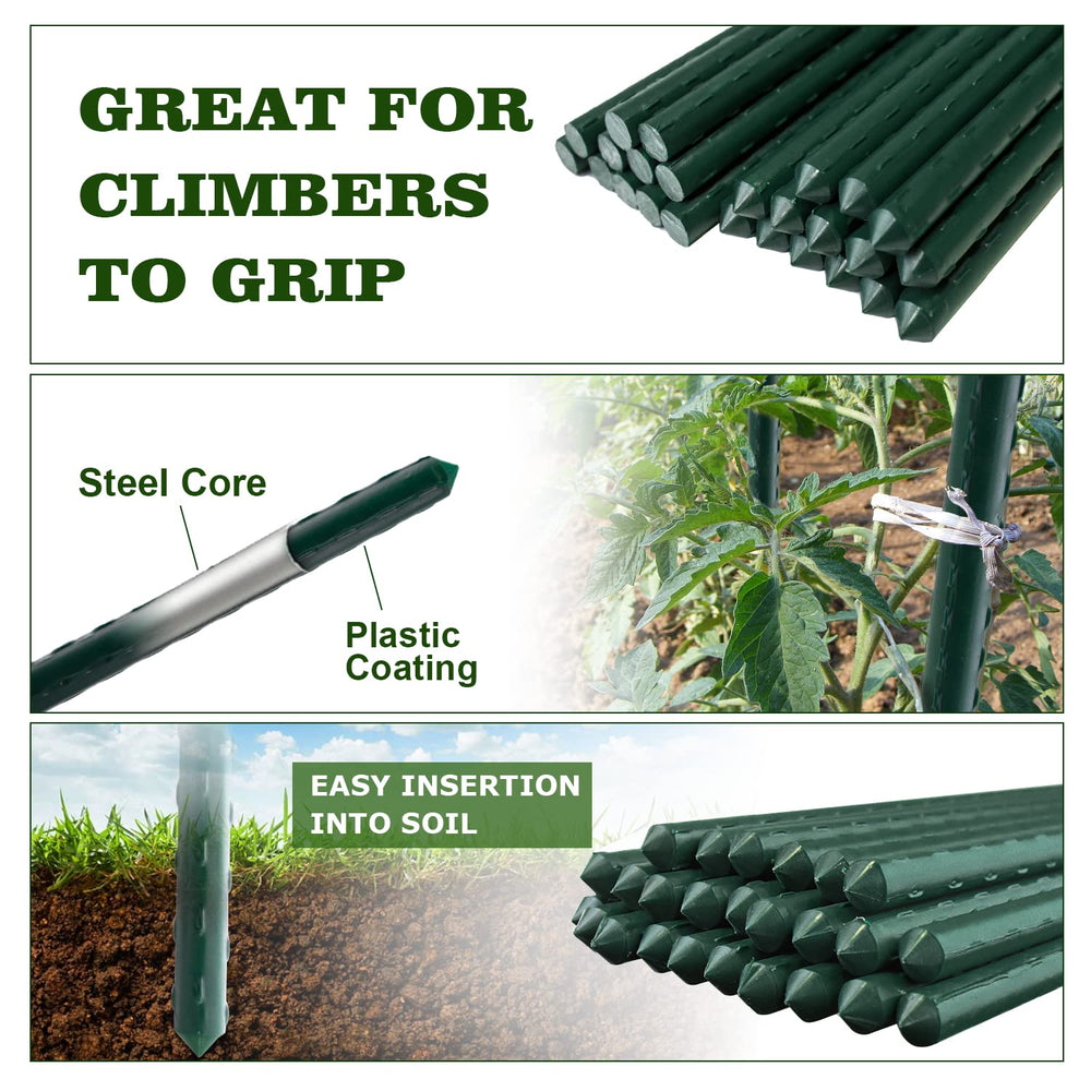 Jollybower stakes supporting tomato plant to prevent stem damage and improve airflow