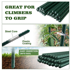Jollybower stakes supporting tomato plant to prevent stem damage and improve airflow
