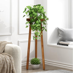 JOLLYMER front view teak stand displaying plant with sturdy support