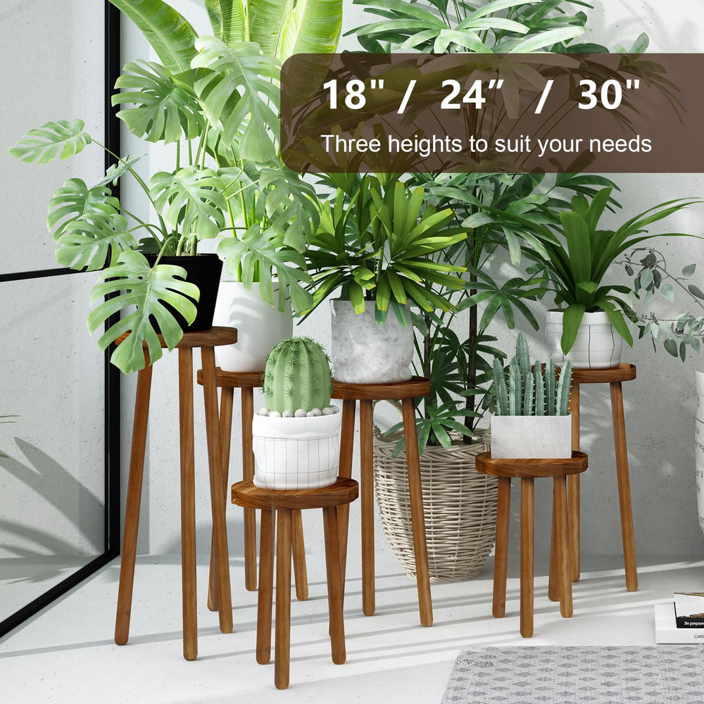 JOLLYMER next to medium pot showing compact size and scale