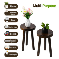 JOLLYMER stands styled with plants in living room providing layered visual interest