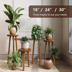 JOLLYMER stand holding a medium pot, demonstrating stable plant display benefit