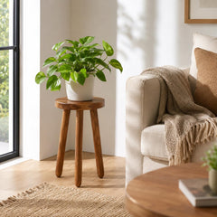 JOLLYMER white-dipped legs detail showing protective stylish finish benefit