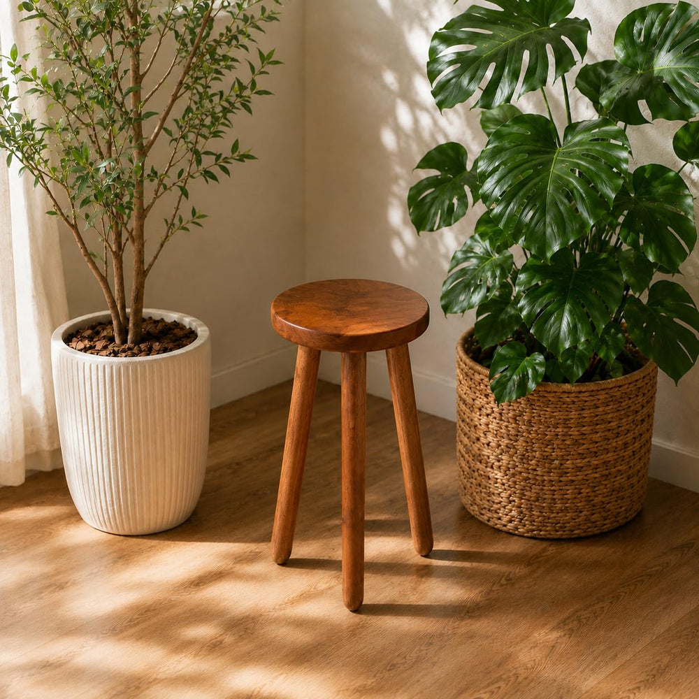 JOLLYMER with potted plant showing elevated display and stability benefit