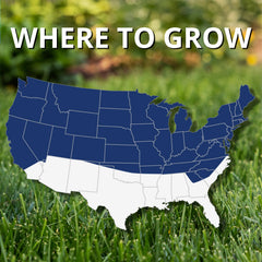 Jonathan Green established dark green lawn illustrating dense attractive turf