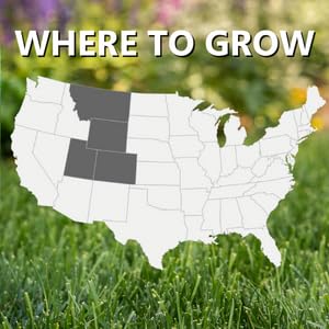 Jonathan Green seeds spread on prepared soil demonstrating easy application