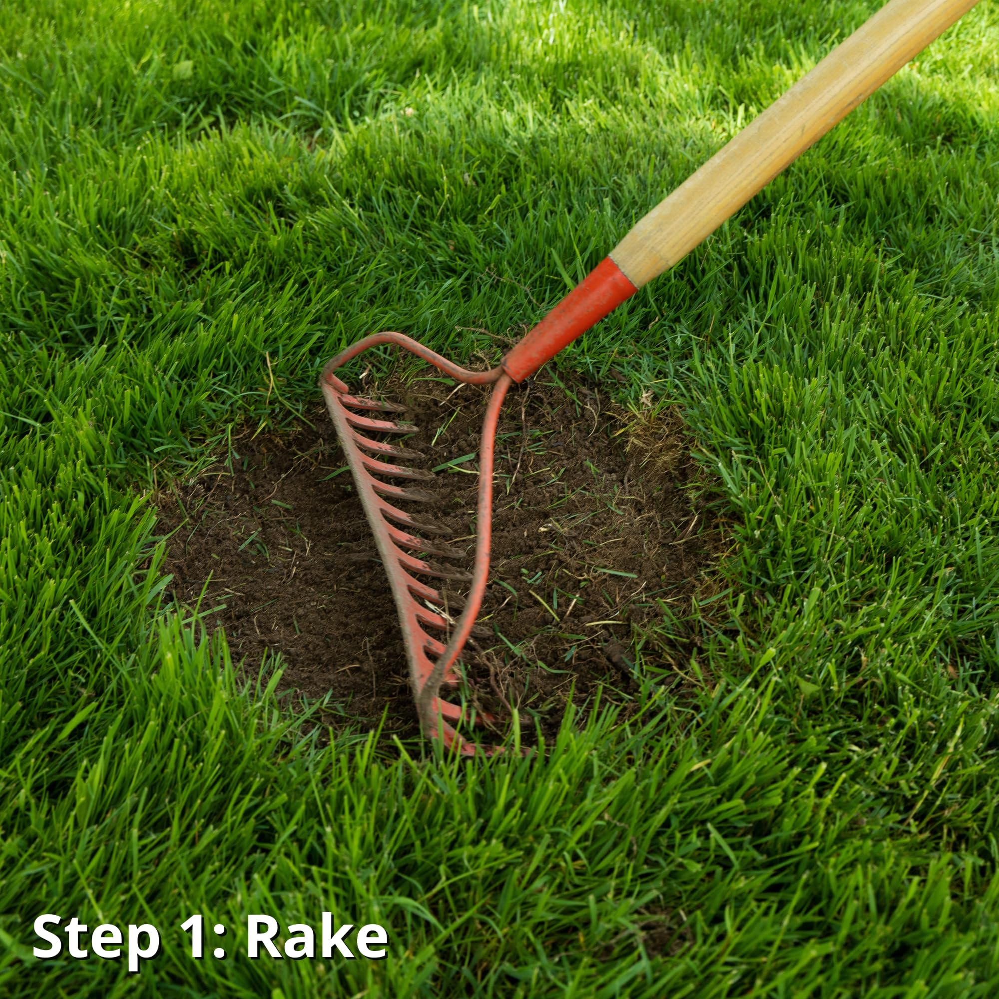 Jonathan Green being spread on a lawn bare spot for simple patching
