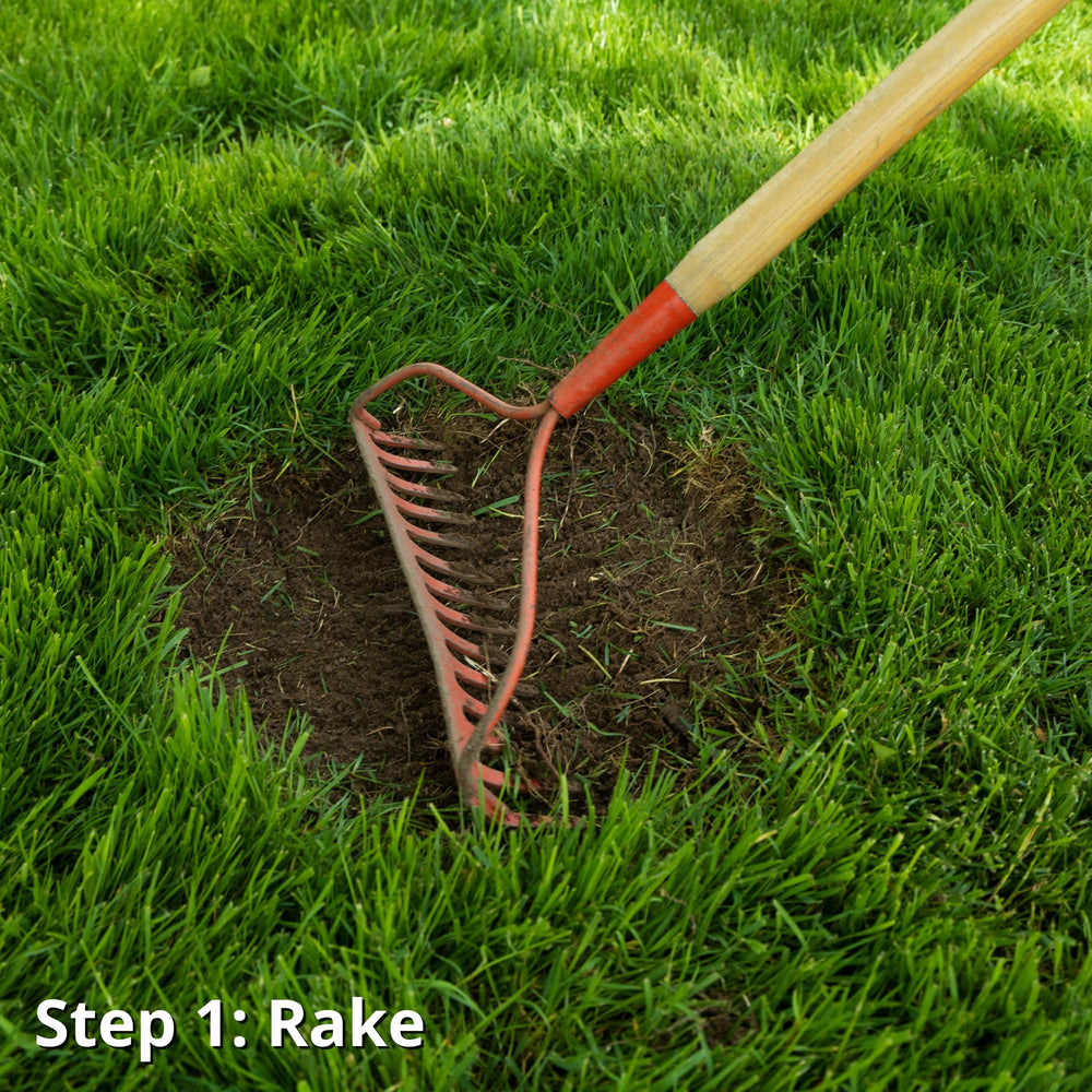 Jonathan Green being spread on a lawn bare spot for simple patching