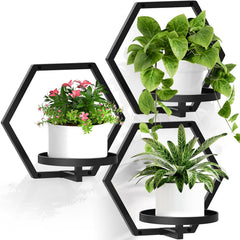 JOPBENG front view hexagon wall planters showing modern display benefit