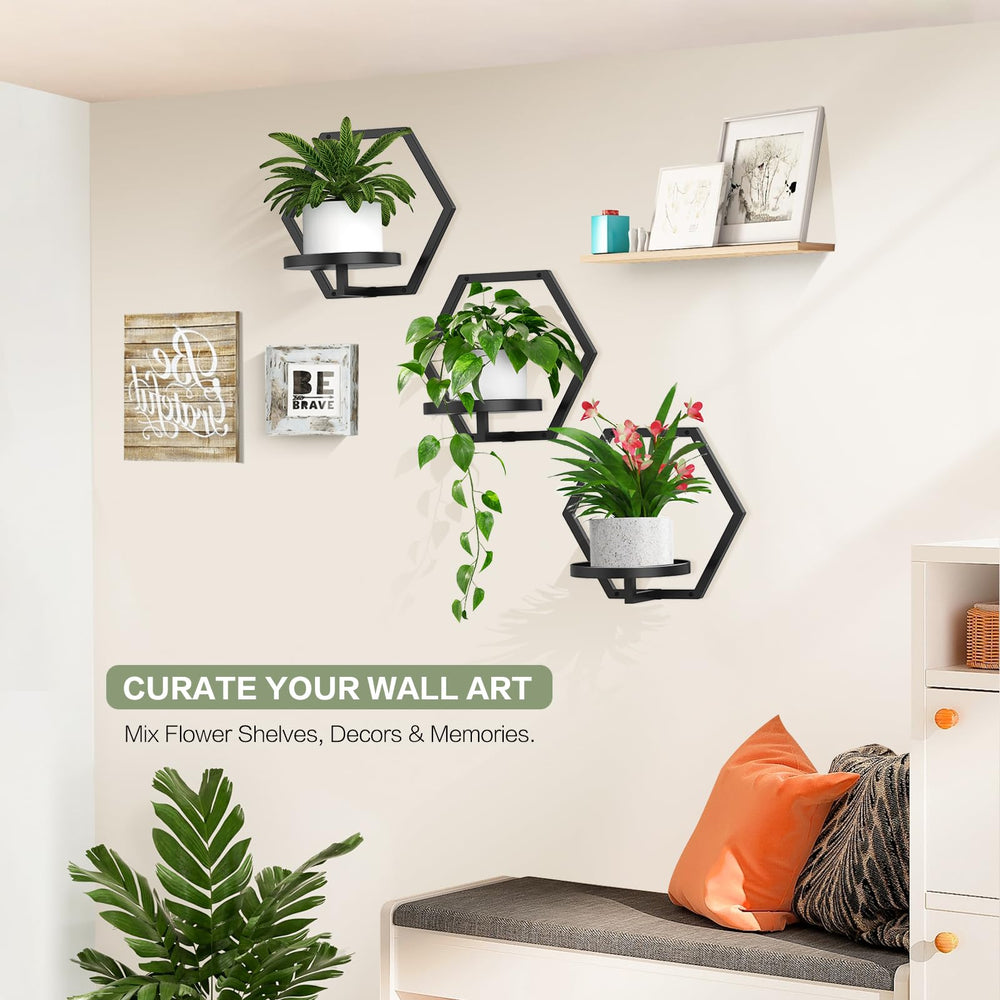 JOPBENG mounted with succulents demonstrating space-saving display
