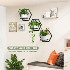 JOPBENG mounted with succulents demonstrating space-saving display