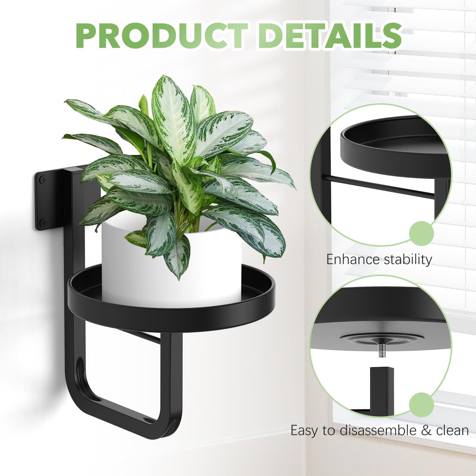 JOPBENG succulent placed in tray to show scale and fit of common 4–6 inch nursery pots