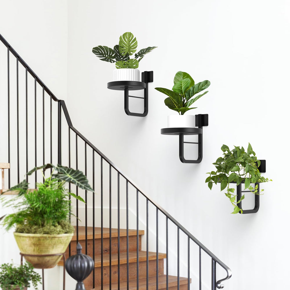 JOPBENG three-pack staggered arrangement on wall illustrating multi-level plant styling possibilities