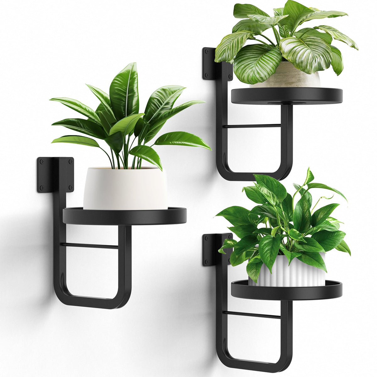 JOPBENG front view of wall plant holder showing elegant black frame and circular tray for tidy displays