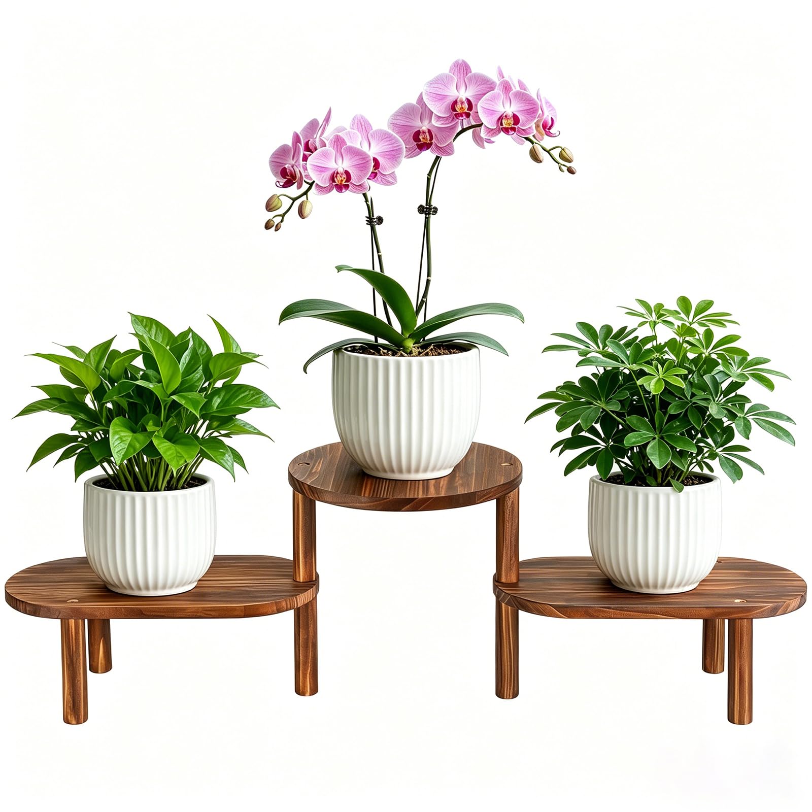 Jotboom front view of the plant stand displaying multi-tier benefits