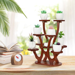 Jotsport top view showing pot arrangement for even sunlight exposure to each succulent