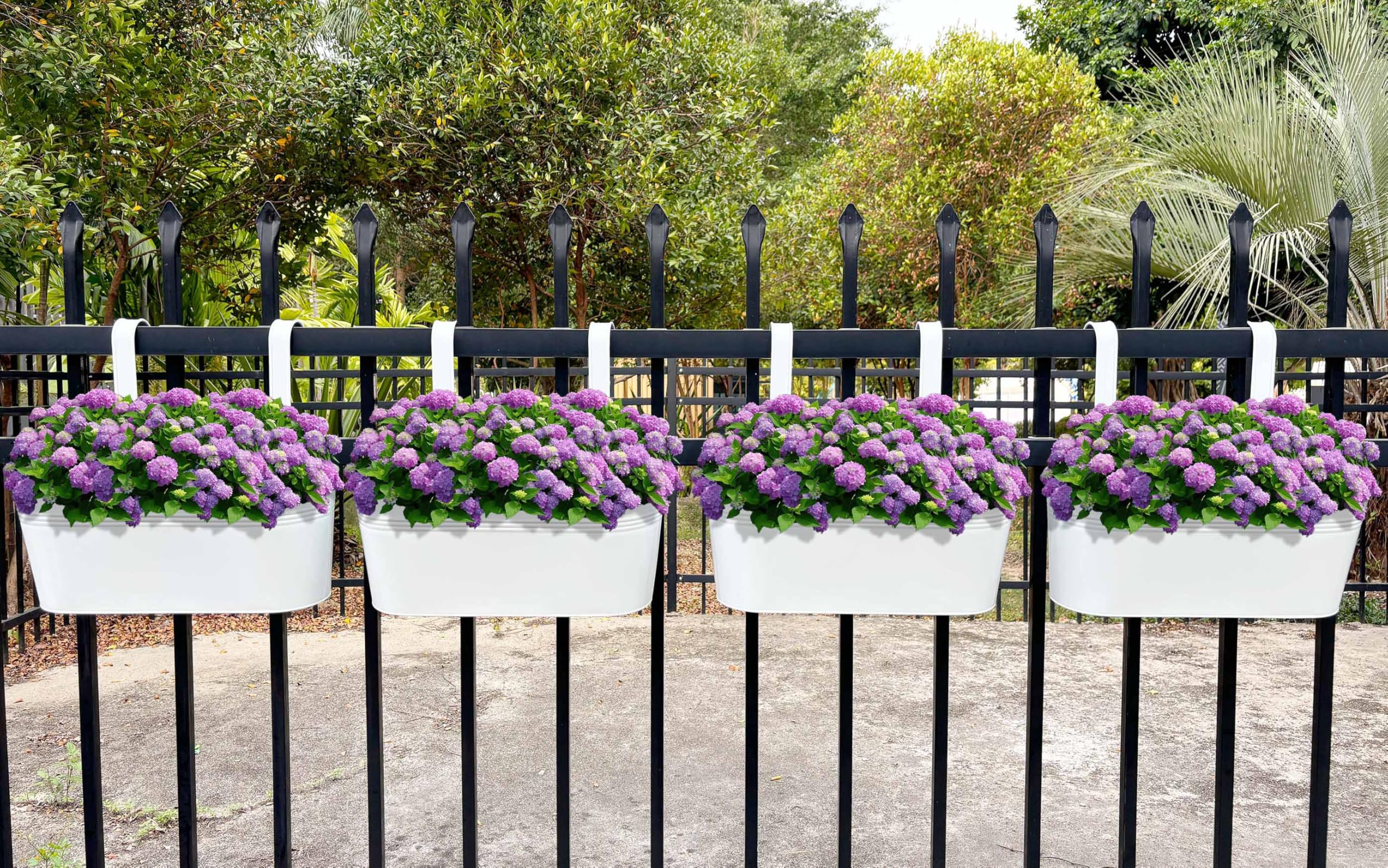 Joyfernal planter on railing with ruler, shows real size and fit