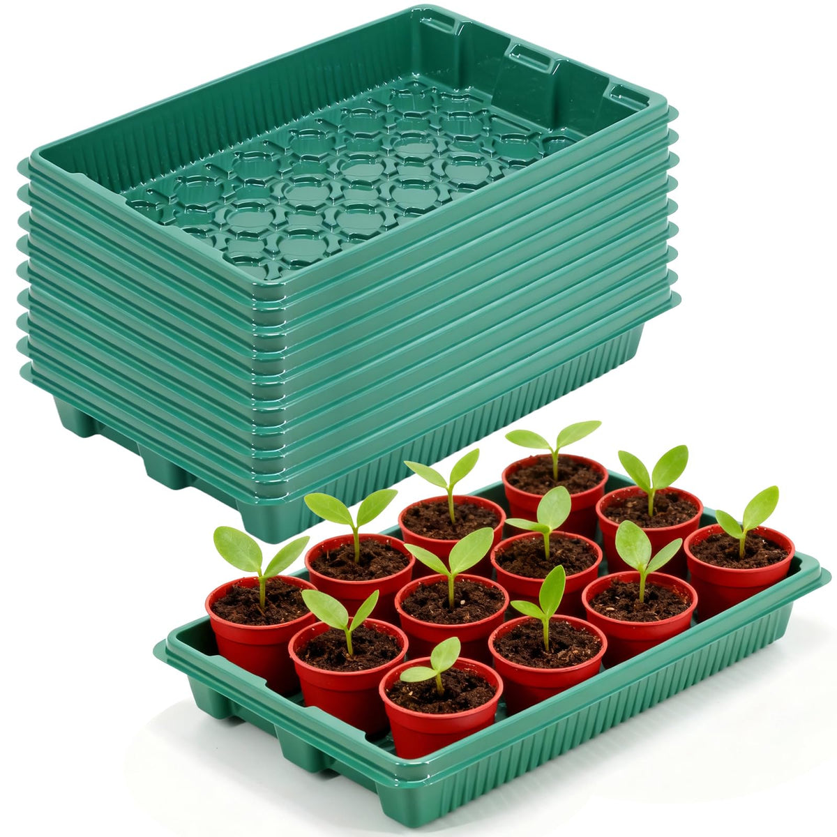 joyhalo front view of 10-pack seed starter trays showing tidy packaging and capacity