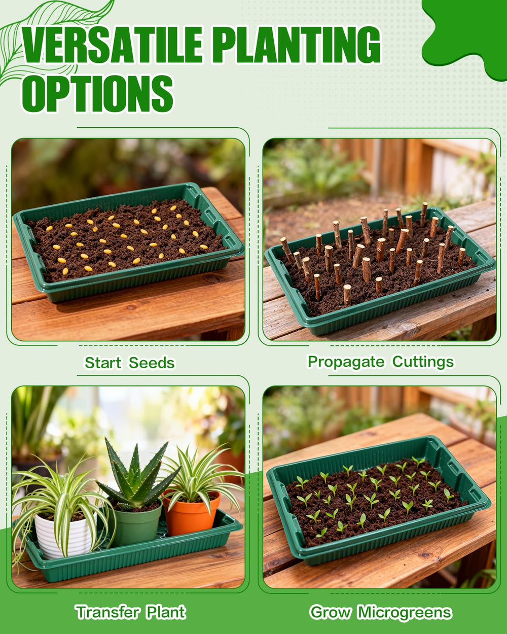 joyhalo tray beside ruler illustrating dimensions and compatibility with shelves