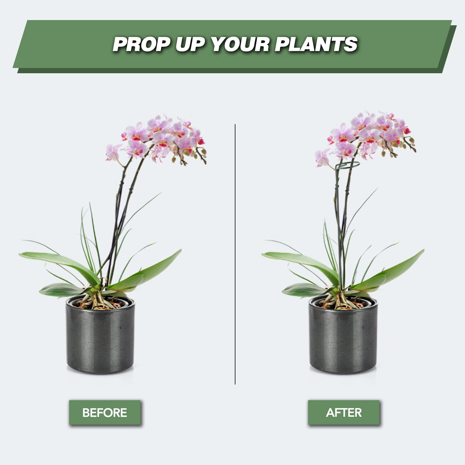 joyhalo close-up of support ring protecting a plant stem