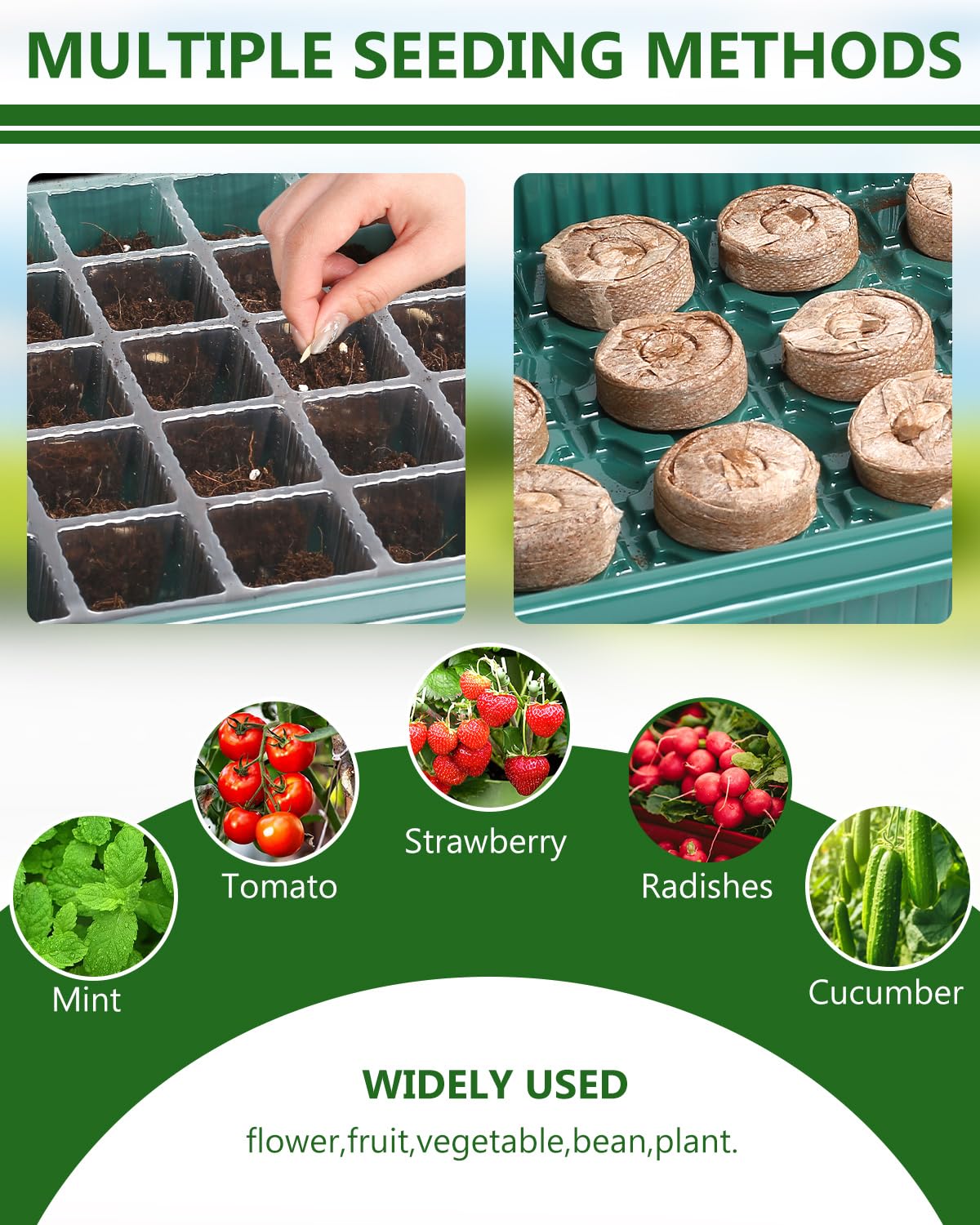 joyhalo propagation tray staged in kitchen for convenient indoor growing