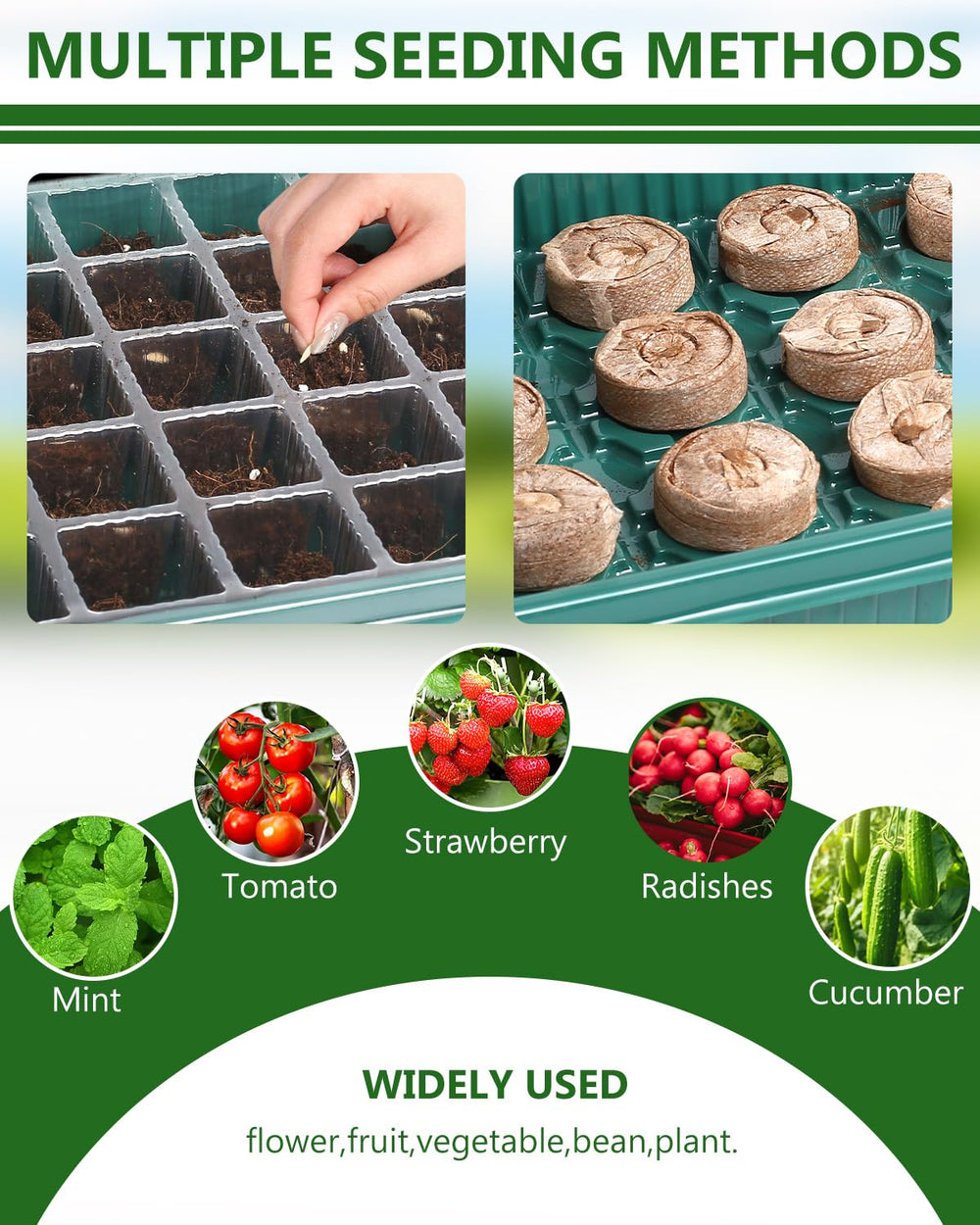 joyhalo propagation tray staged in kitchen for convenient indoor growing