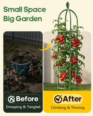 joyhalo trellis close-up of plastic-coated steel frame for rust resistance and long life