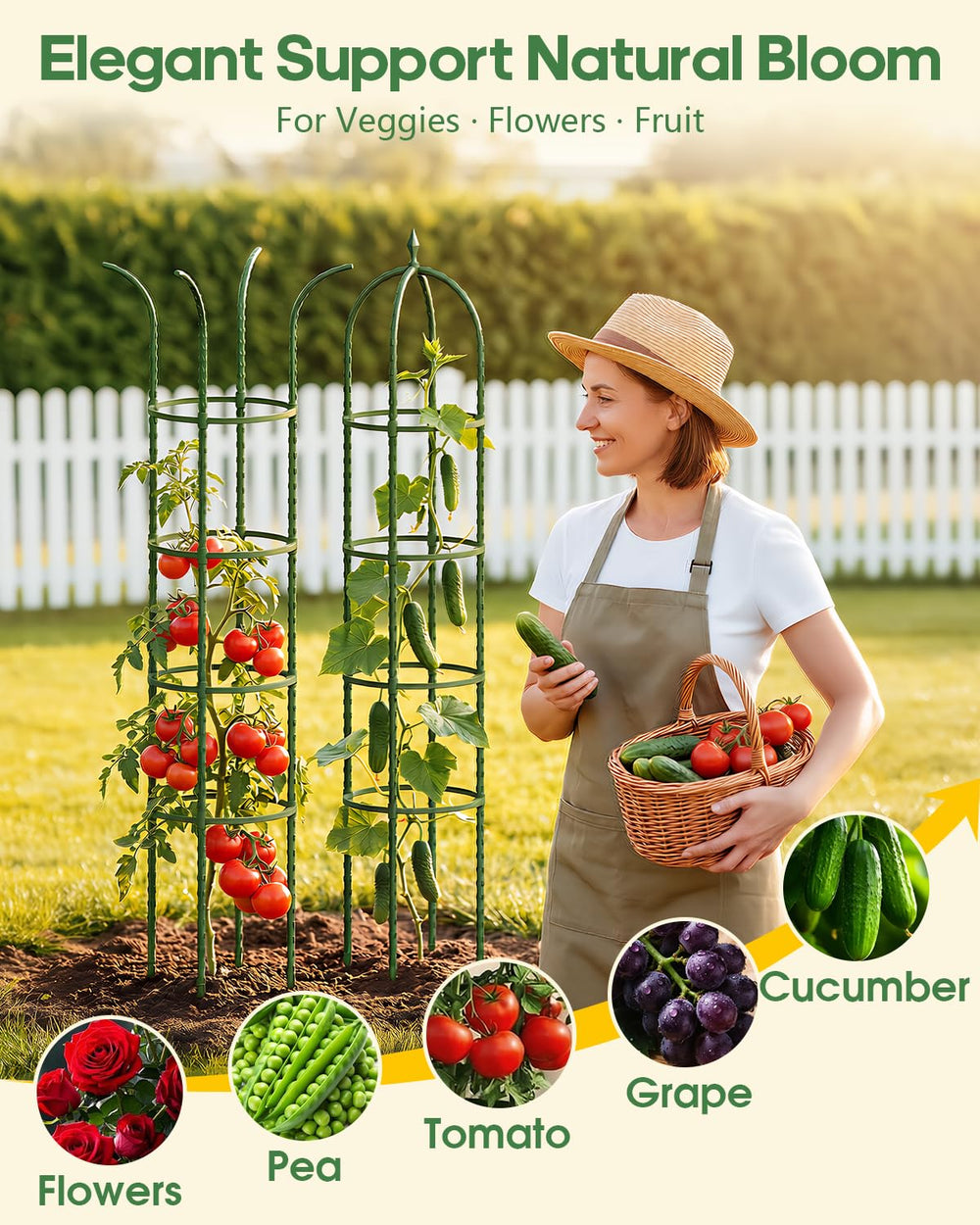 joyhalo trellis sections demonstrating height adjustment for seedlings to mature vines