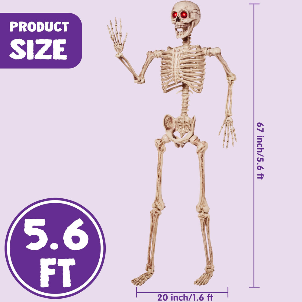 JOYIN scale comparison with doorway showing true 5.6 ft height