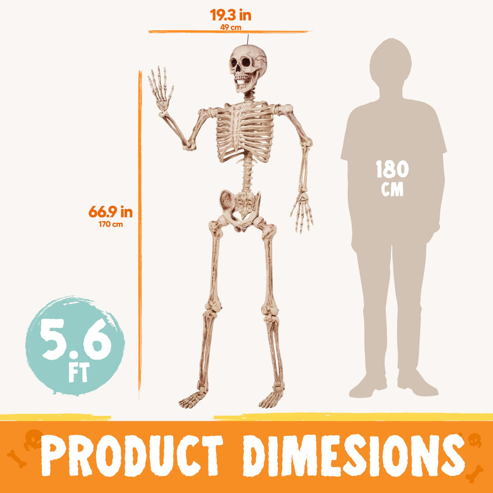 JOYIN disassembled skeleton parts packed compactly for easy storage