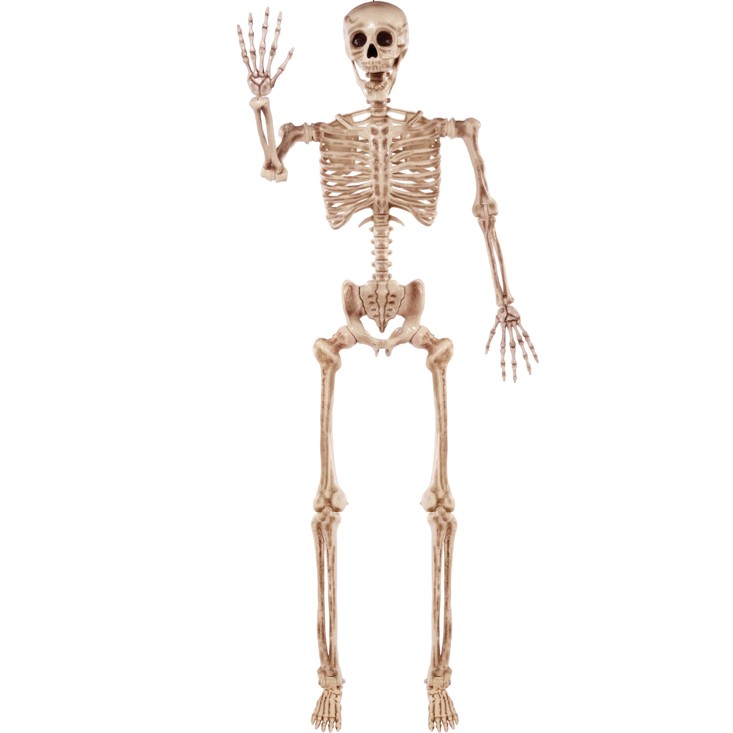 JOYIN front view full-body skeleton showing life-size presence and spooky curb appeal