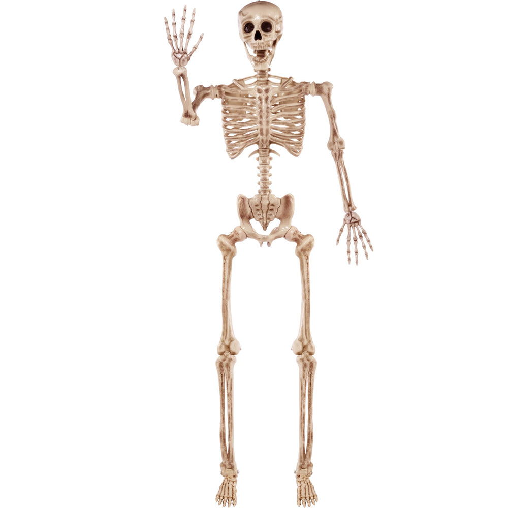 JOYIN front view full-body skeleton showing life-size presence and spooky curb appeal