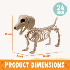 JOYIN wiener dog skeleton close-up detail highlighting realistic bone texture