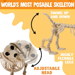 JOYIN wiener dog skeleton on porch creating haunted holiday curb appeal