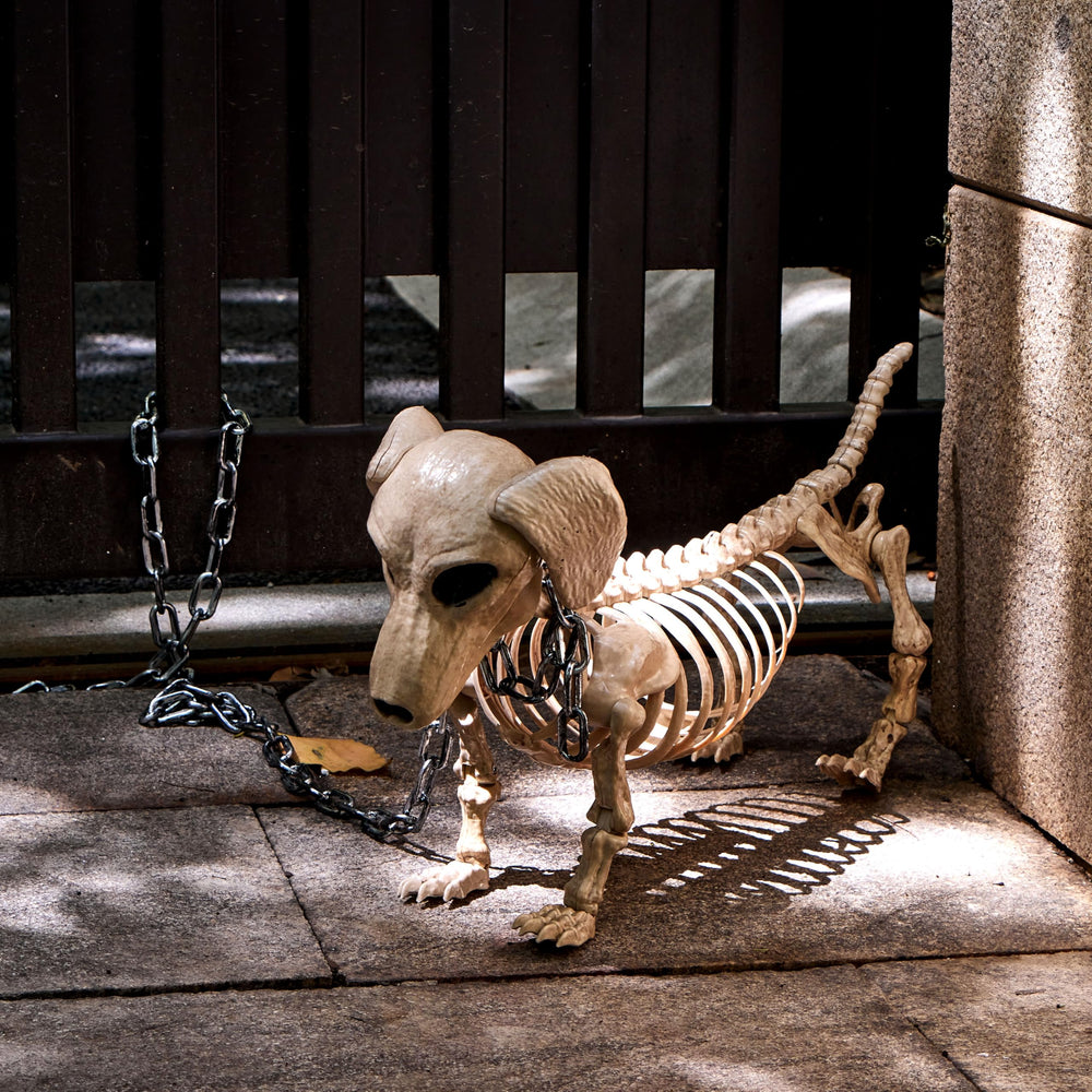 JOYIN wiener dog skeleton stored in box for easy seasonal protection