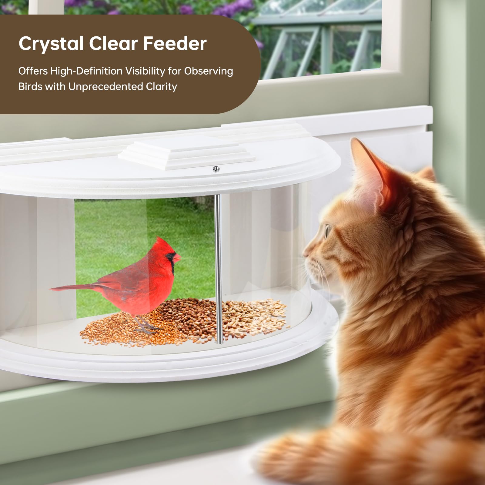 JOYSEUS seed chamber detail showing easy refill and tidy feeding benefit