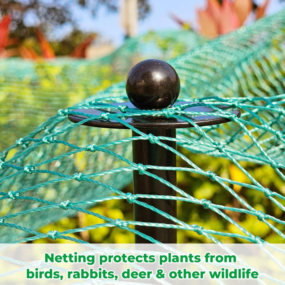 JPOIP assembled garden frame with netting protecting vegetables, offering tidy crop coverage