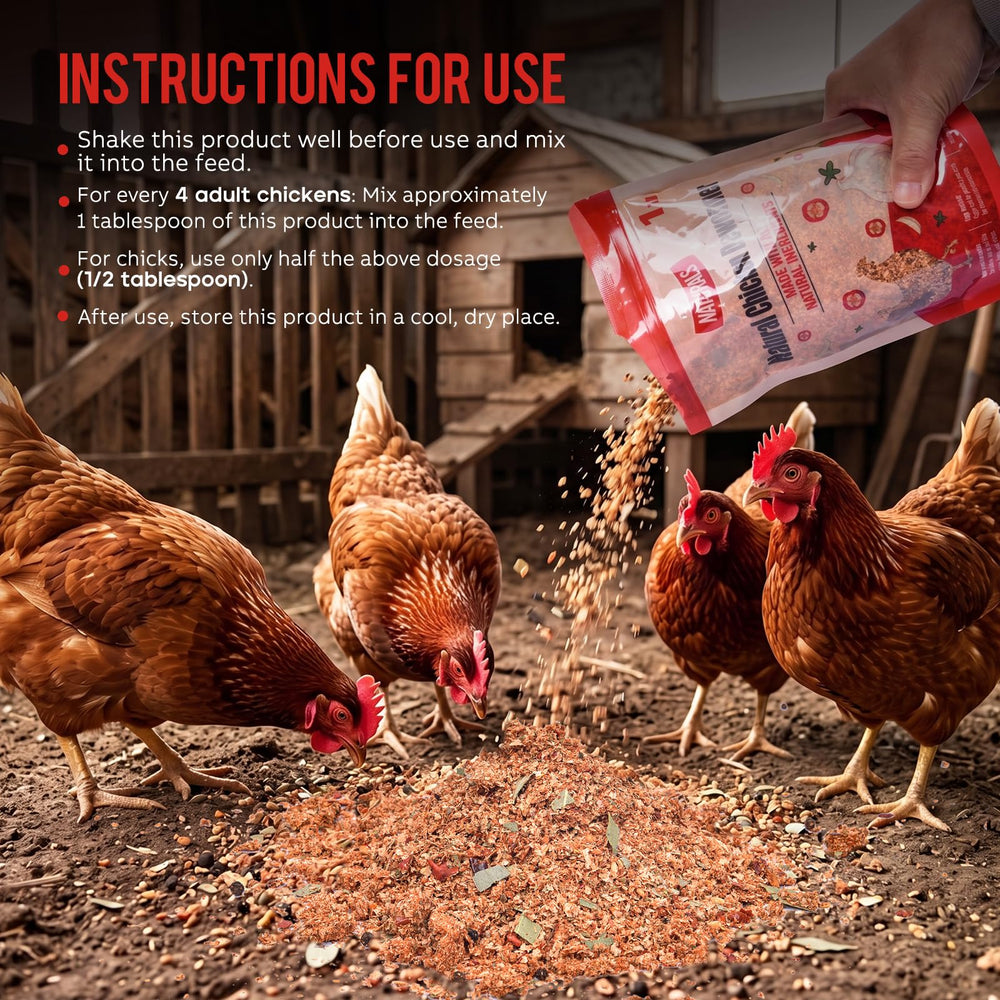Jqely chickens eating mixed feed illustrating tasty acceptance and steady consumption